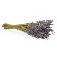 French Lavender Bundle